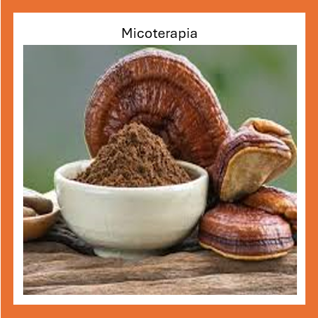 MICOTERAPIA