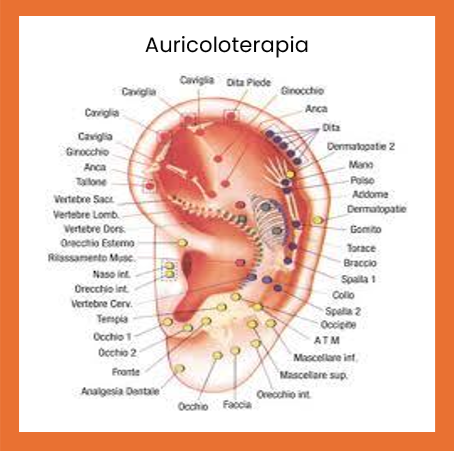 AURICOLOTERAPIA