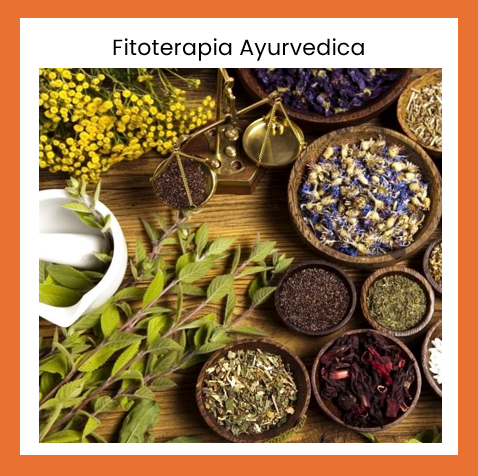 FITOTERAPIA