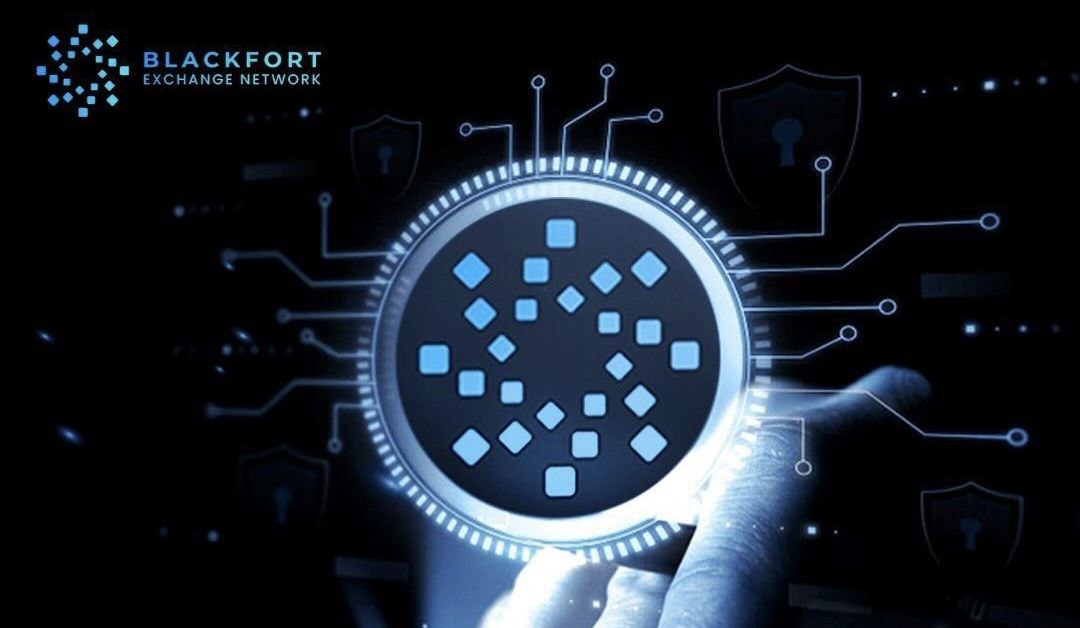 Consulenza su BlackFort