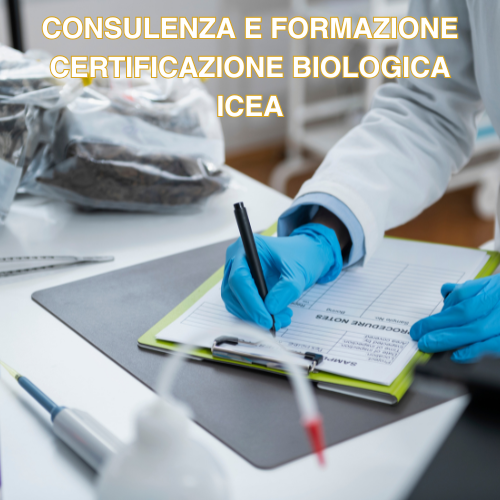 CONSULENZA E FORMAZIONE CERTIFICAZIONE BIOLOGICA ICEA